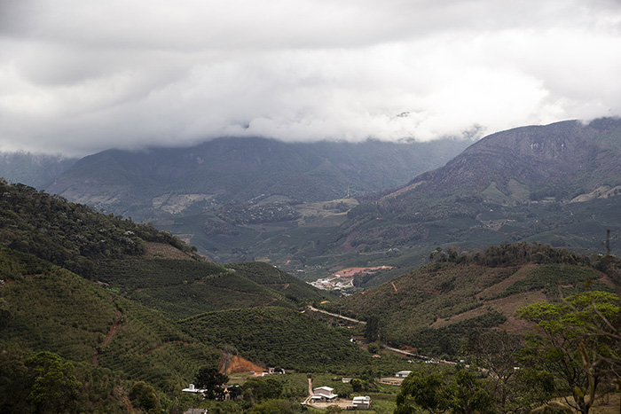 Ferme_Alto_Jequitib__caparao_paysage.jpg