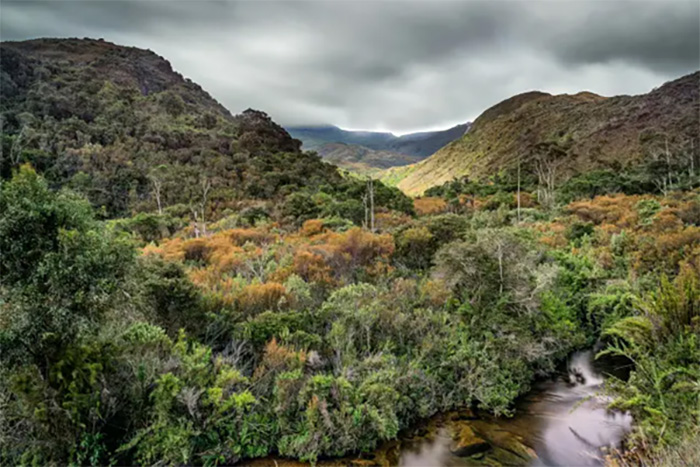 Parc_national_caparao2.jpg